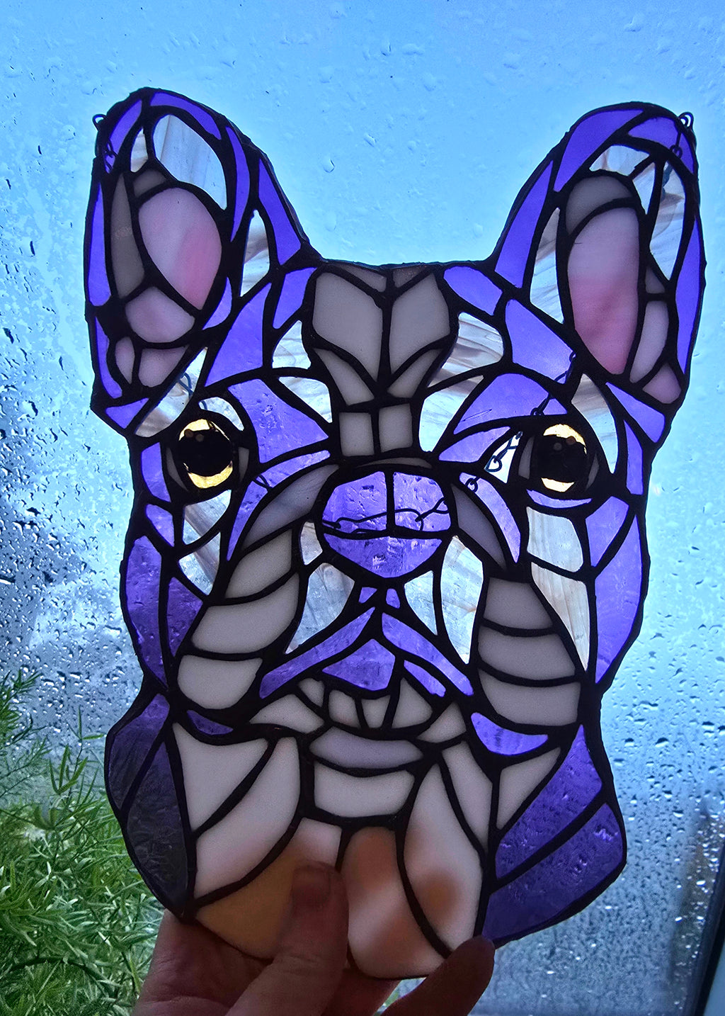 French Bulldog