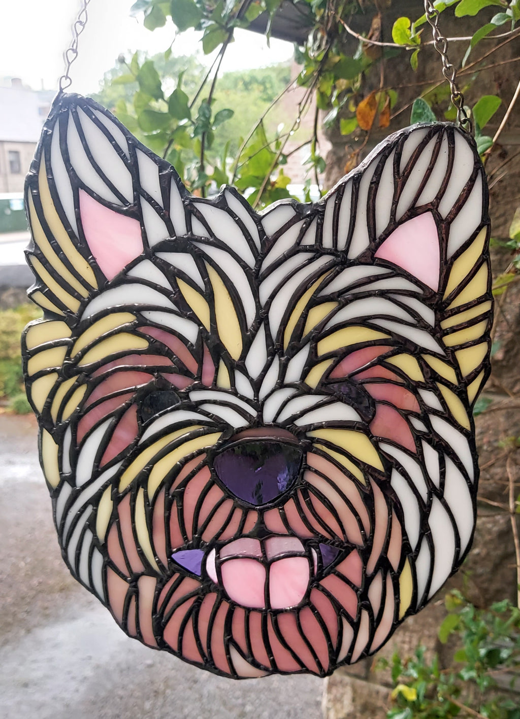 Westhighland Terrier