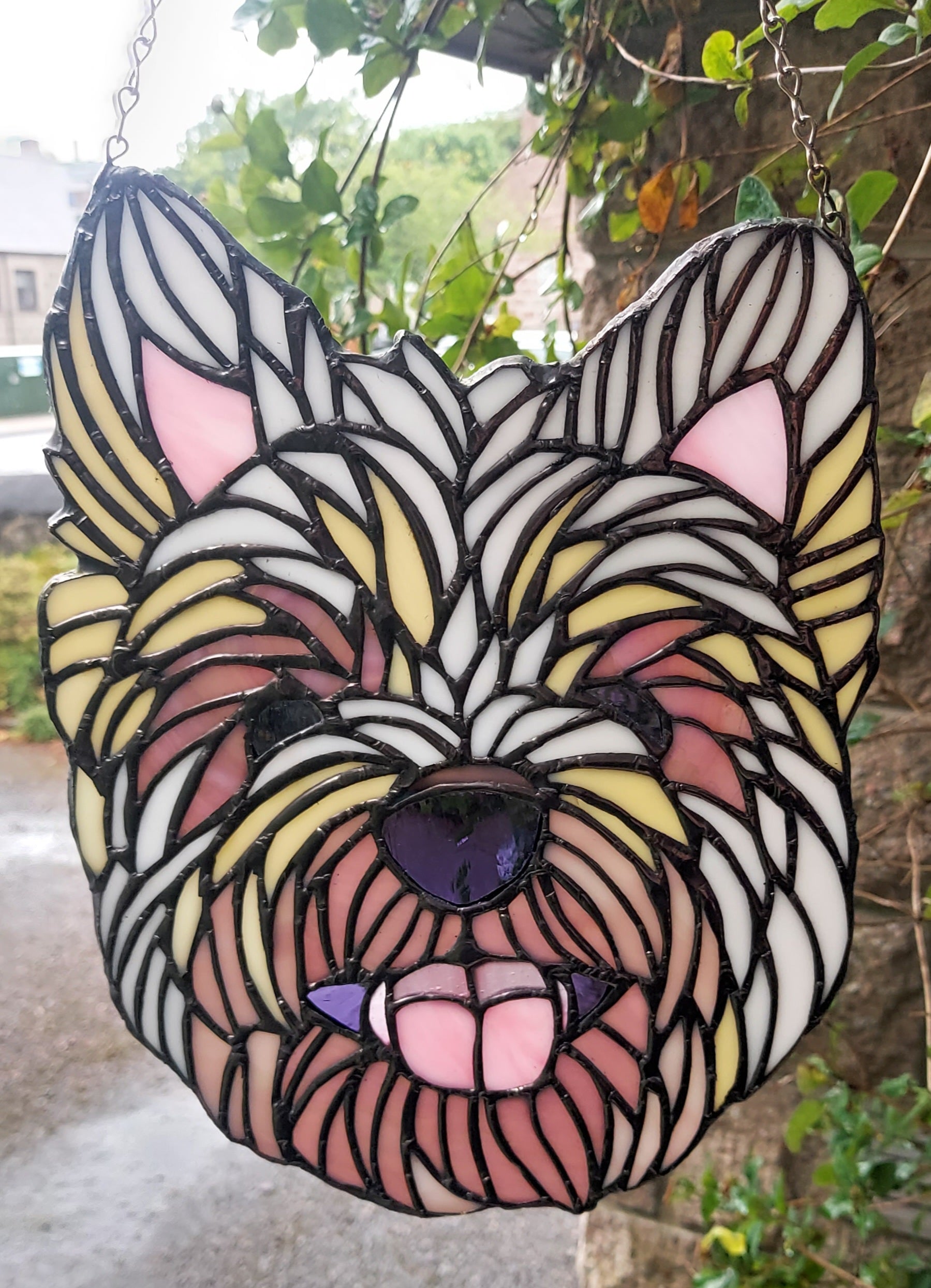 Westhighland Terrier