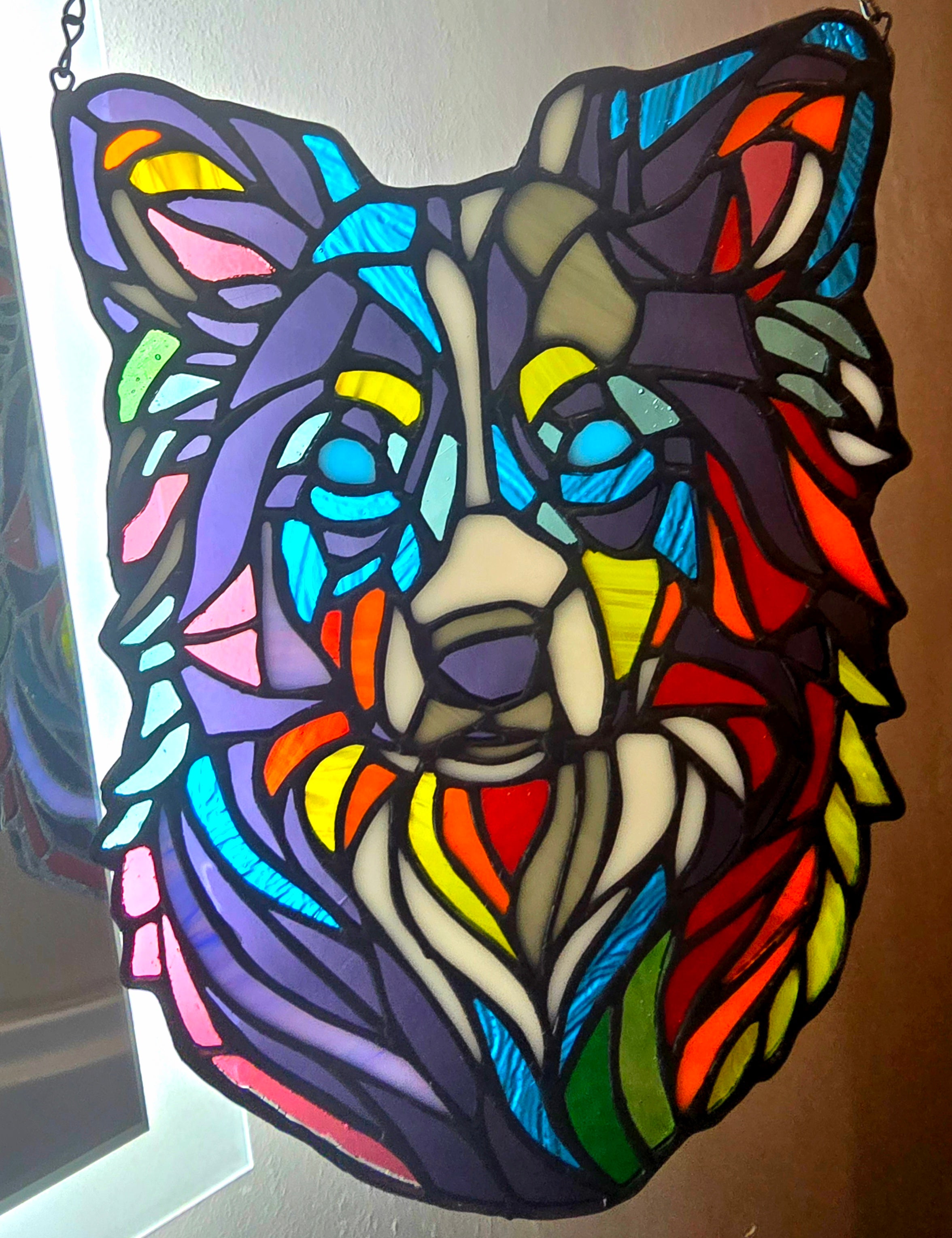 Rainbow Collie