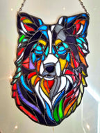 Rainbow Collie