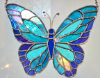 Blue Butterfly