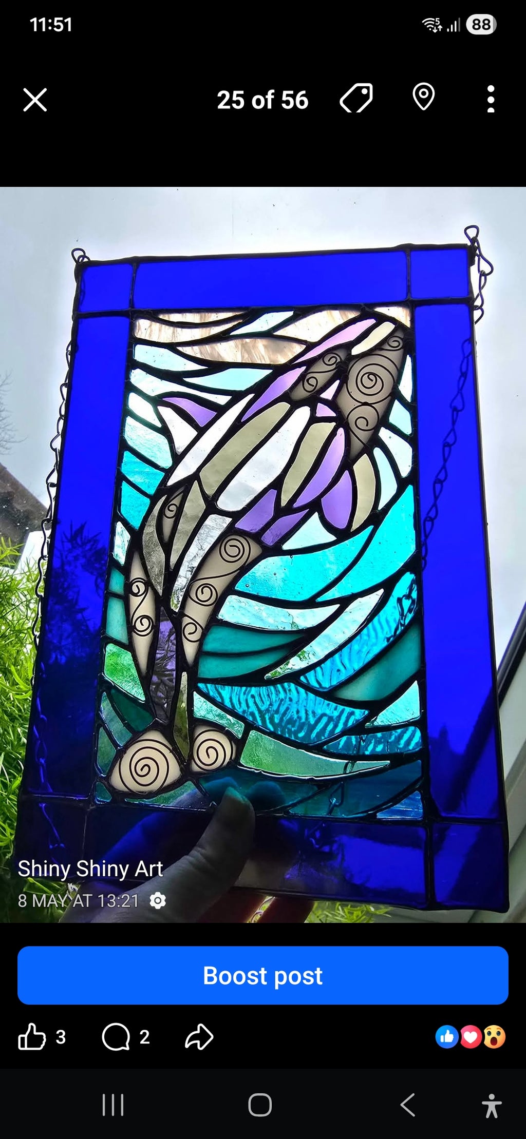 Orca Whale Panel