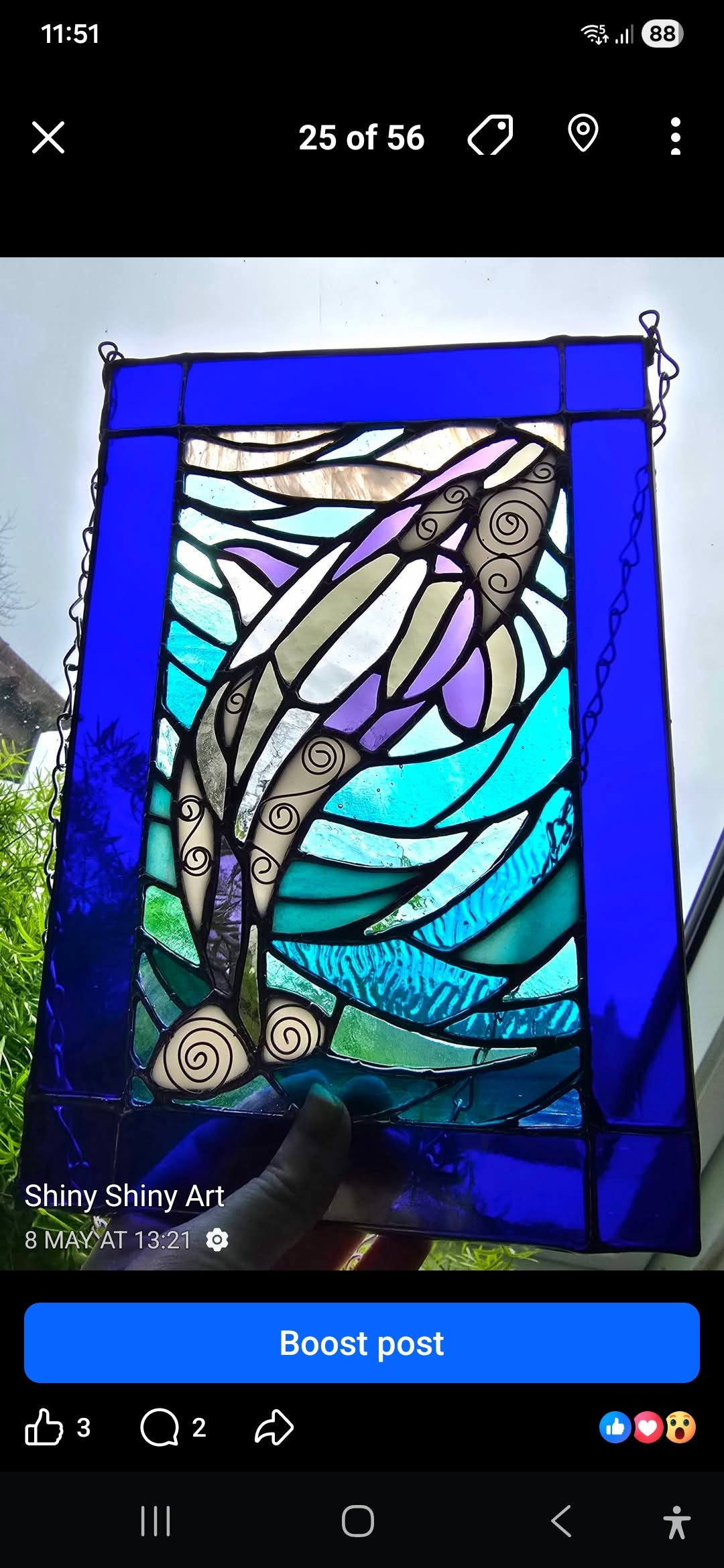 Orca Whale Panel
